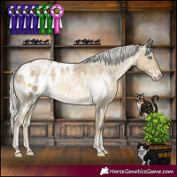 Horse Color:White Spotted Silver Buckskin Pearl Sabino Appaloosa