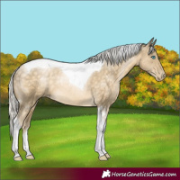 Horse Color:Silver Buckskin Pearl Tobiano Rabicano 