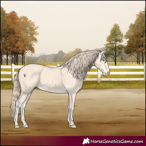 Horse Color:Perlino 
