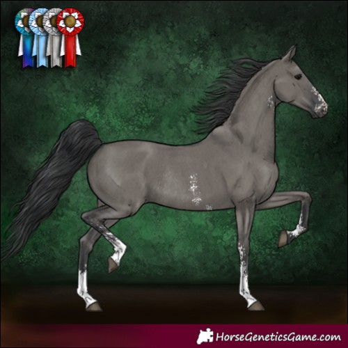 Horse Color:Grullo Sabino Rabicano 