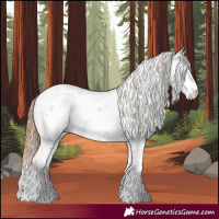 Horse Color:Chestnut Sabino