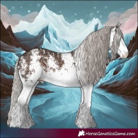Horse Color:White Spotted Silver Black 