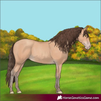 Horse Color:Amber Champagne
