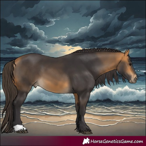 Horse Color:Buckskin 