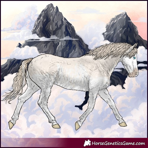 Horse Color:Perlino Dun Splash  and Perlino Dun Splash Rabicano 