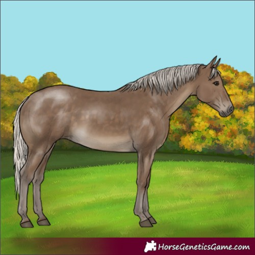 Horse Color:Silver Smoky Black 