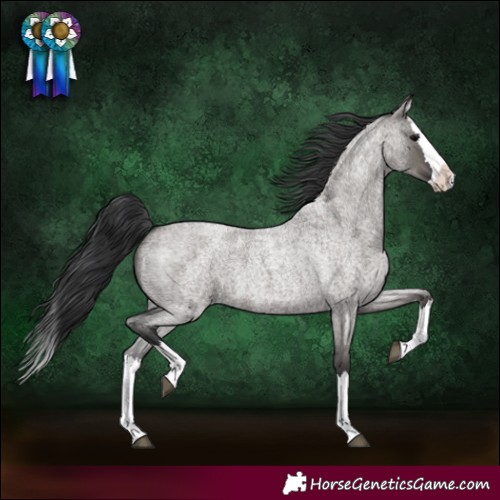 Horse Color:Grullo Roan Splash 