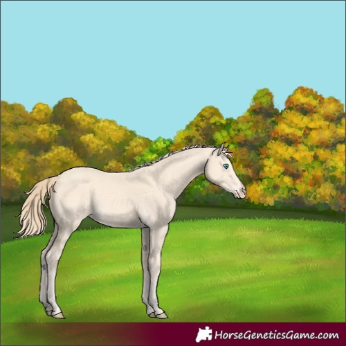 Horse Color:Perlino 