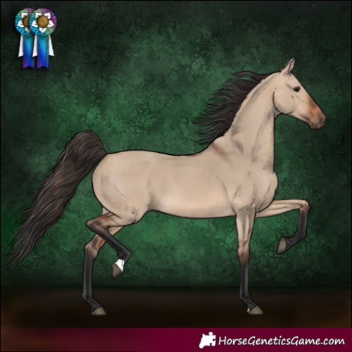 Horse Color:Bay Dun 