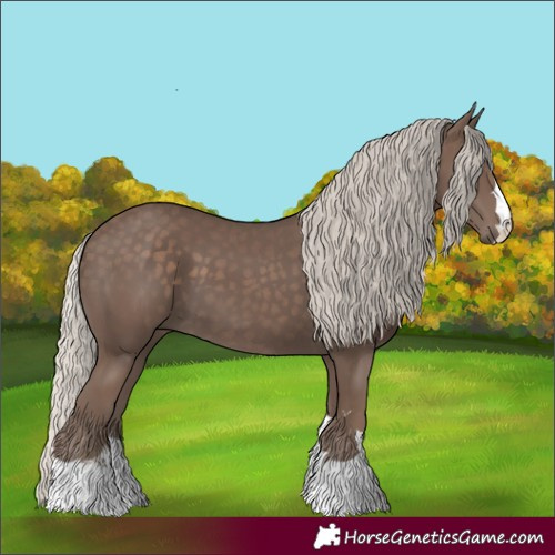 Horse Color:Silver Black 