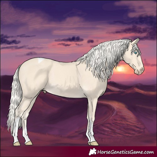 Horse Color:Cremello Tobiano