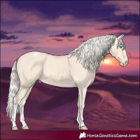 Horse Color:Cremello Tobiano 