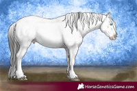 Horse Color:Brown Sabino Splash Near Fewspot 