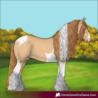 Horse Color:Red Dun Tobiano 
