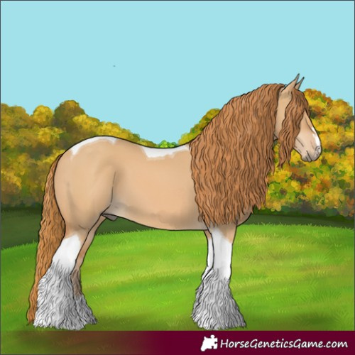 Horse Color:Red Dun Tobiano
