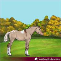 Horse Color:White Spotted Silver Brown Dun Tobiano Varnish 