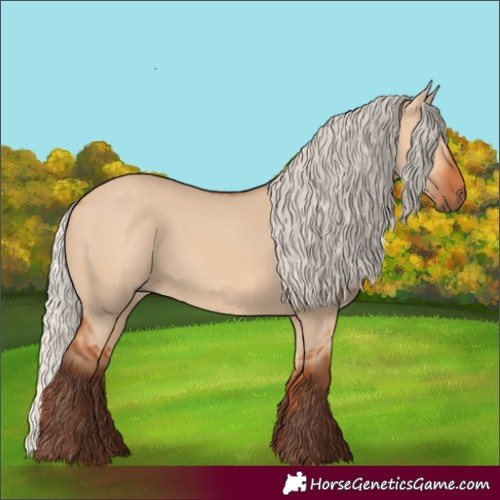 Horse Color:Silver Bay Dun 