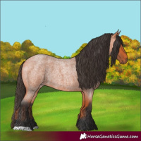 Horse Color:Bay Roan 