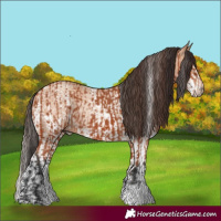 Horse Color:Bay Sabino Rabicano  and Amber Champagne Sabino Rabicano 