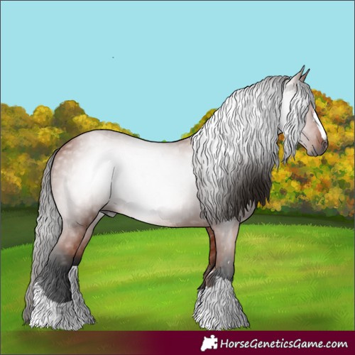 Horse Color:Gray Bay 