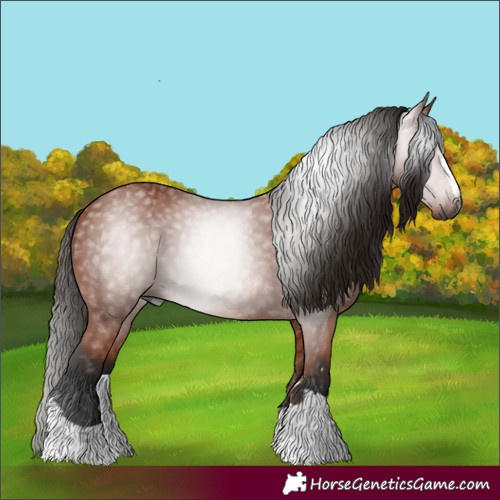 Horse Color:Gray Bay 