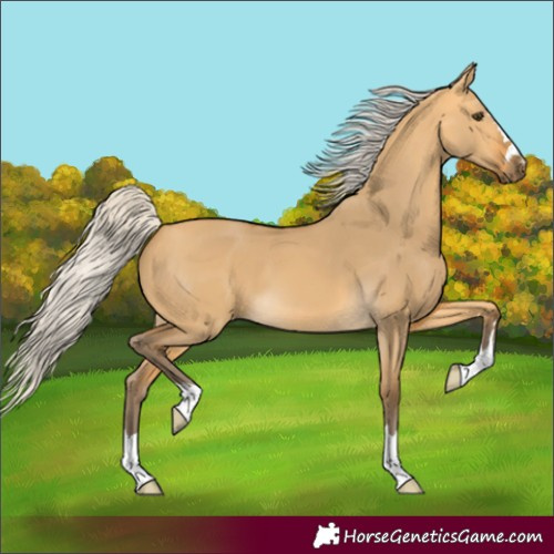Horse Color:Silver Buckskin Dun 