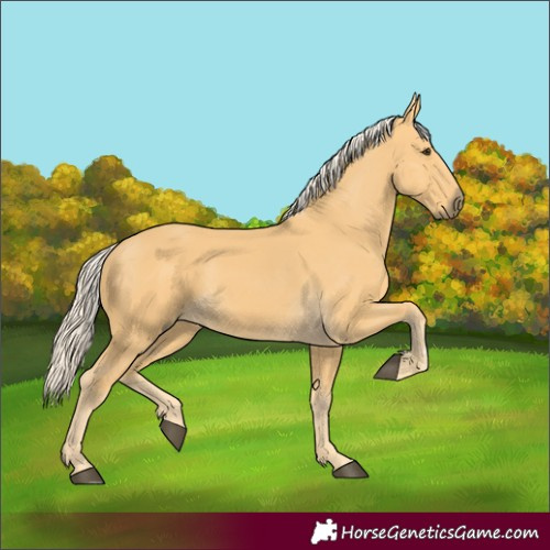 Horse Color:Unknown 