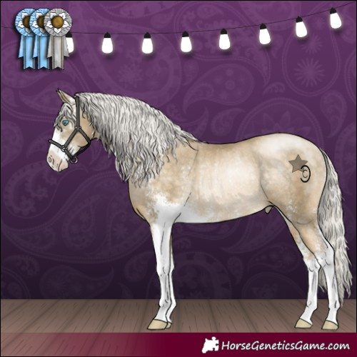 Horse Color:Silver Buckskin Pearl Sabino Rabicano