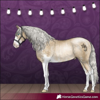 Horse Color:Silver Buckskin Pearl Sabino Rabicano 