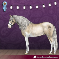 Horse Color:Silver Buckskin Pearl Sabino Rabicano