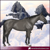 Horse Color:Grullo Rabicano
