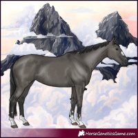 Horse Color:Grullo Rabicano 