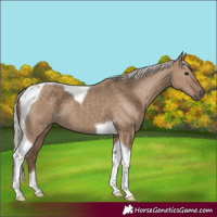 Horse Color:Silver Grullo Tobiano 
