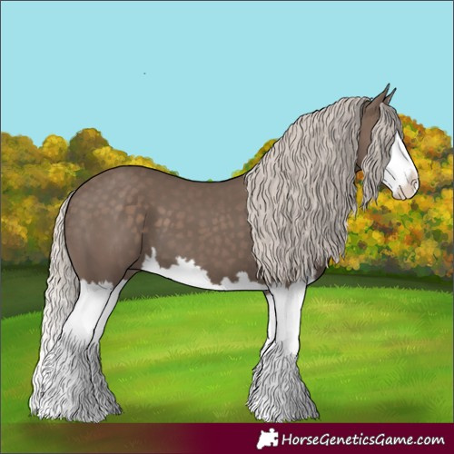 Horse Color:Silver Black Splash 