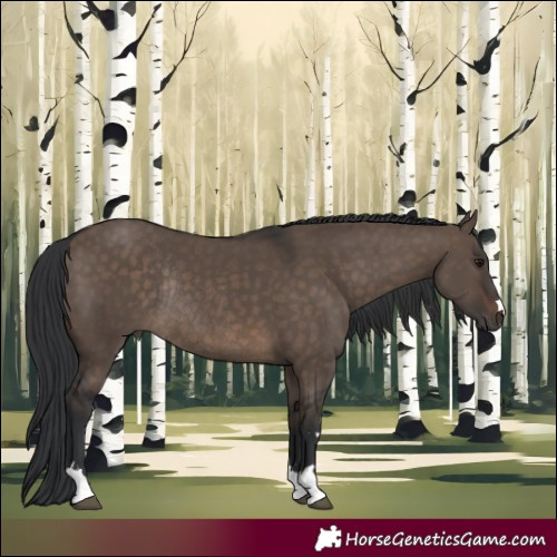 Horse Color:Brown Dun Rabicano 
