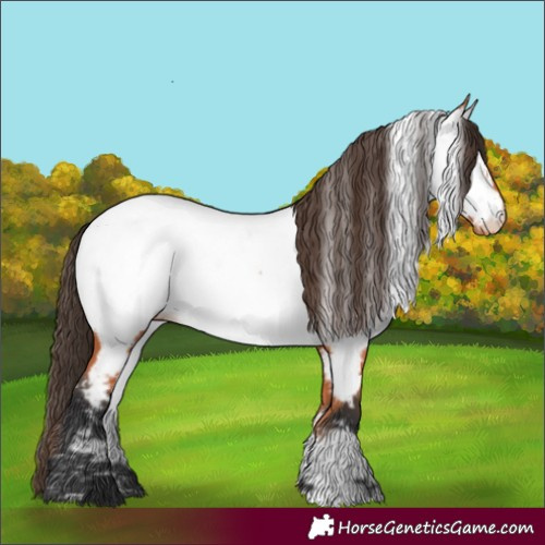 Horse Color:Unknown 