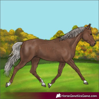 Horse Color:Silver Black 