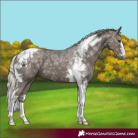 Horse Color:Silver Black Ice Tobiano 