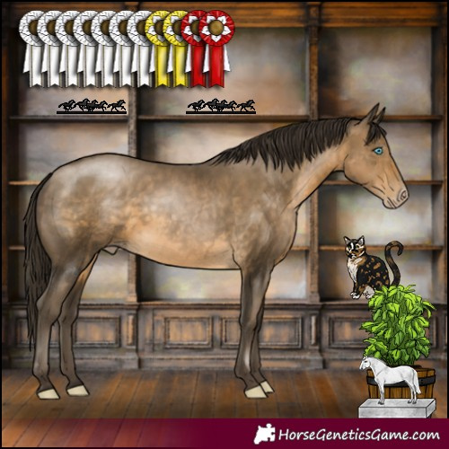 Horse Color:Gray Buckskin Pearl Rabicano 