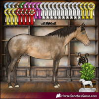 Horse Color:Gray Buckskin Pearl Rabicano