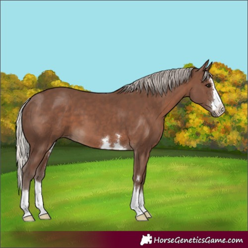 Horse Color:Silver Black 