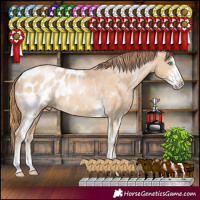 Horse Color:Buckskin Pearl Sabino Blanket 