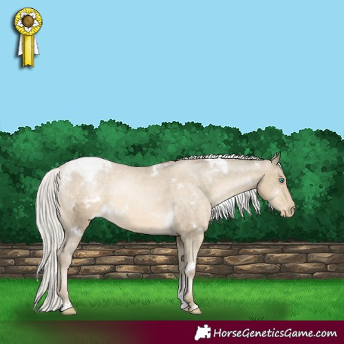 Horse Color:White Spotted Silver Smoky Black Pearl Sabino Appaloosa 