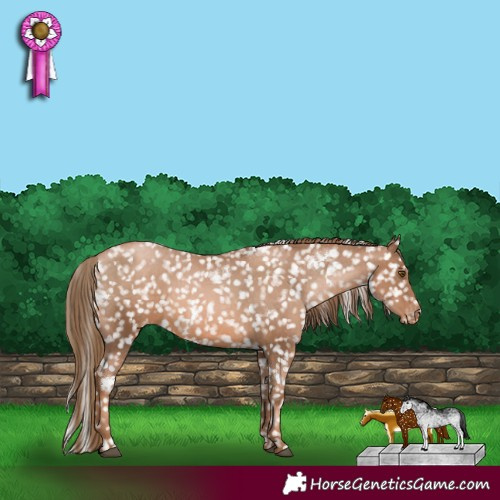 Horse Color:White Spotted Liver Chestnut Pearl Snowflake Varnish 