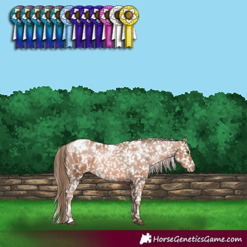 Horse Color:White Spotted Liver Chestnut Pearl Snowflake Varnish 