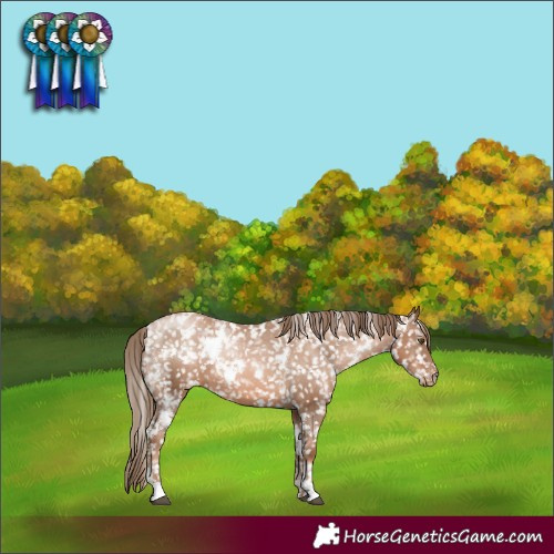 Horse Color:White Spotted Liver Chestnut Pearl Snowflake Varnish 