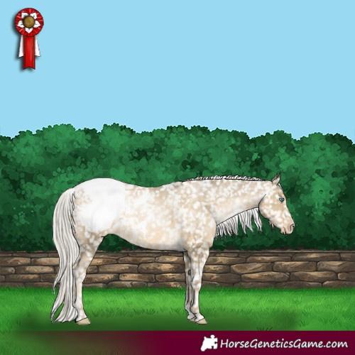 Horse Color:White Spotted Silver Buckskin Pearl Snowflake Varnish