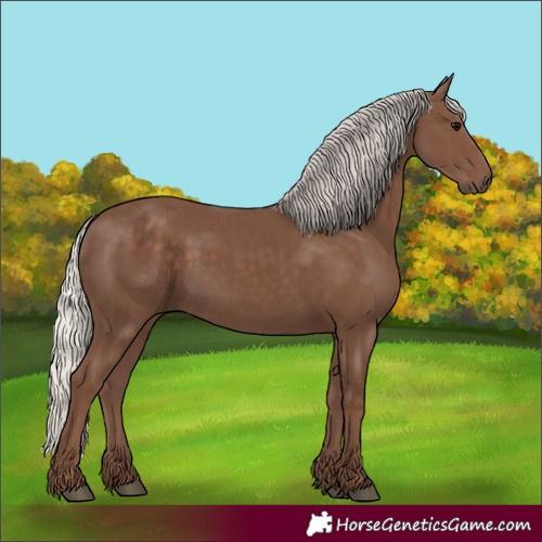 Horse Color:Silver Black 