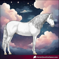 Horse Color:Gray Platinum Silver Amber Cream Champagne Roan Dun Splash Tobiano Frame Varnish Rabicano