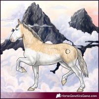 Horse Color:Cremello Splash  and Palomino Splash 